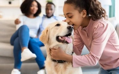 寵物用品市場的多元發展